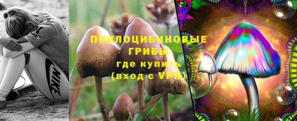 амф Армянск
